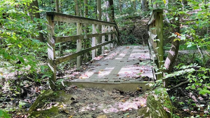Newark Reservoir Parking - Newark, DE