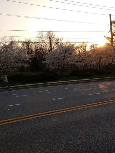 Olan Thomas Park - Newark, DE