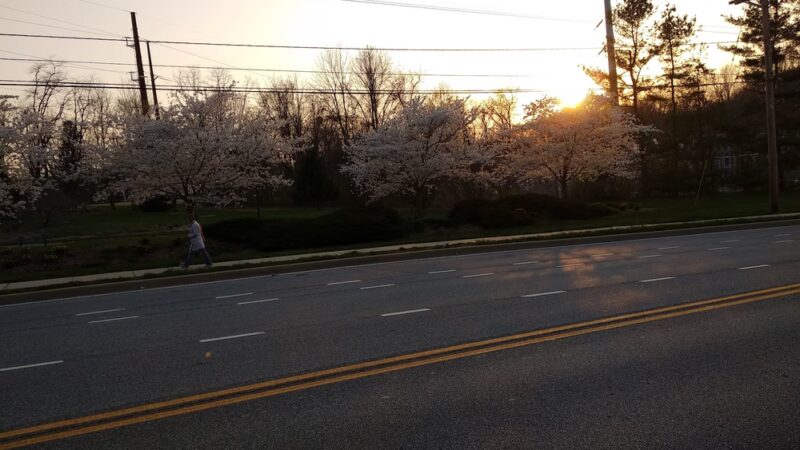 Olan Thomas Park - Newark, DE