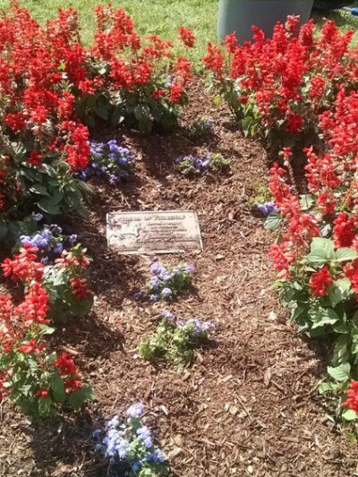 Olan Thomas Park - Newark, DE