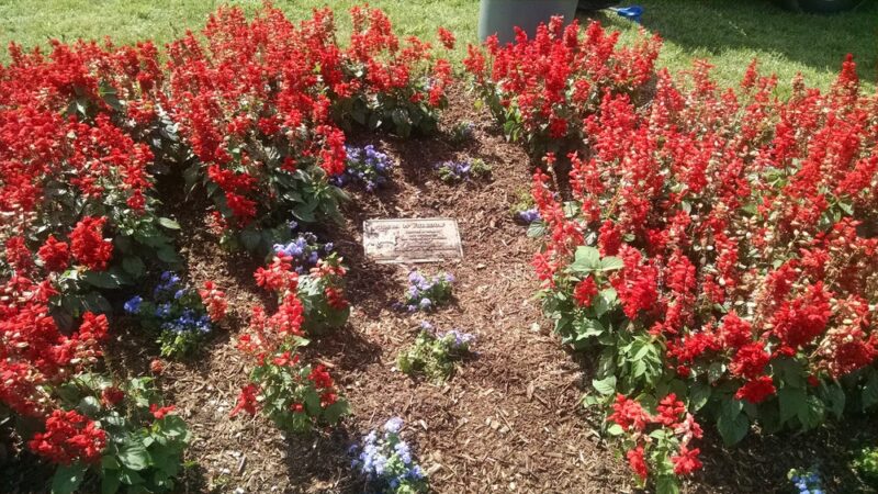 Olan Thomas Park - Newark, DE