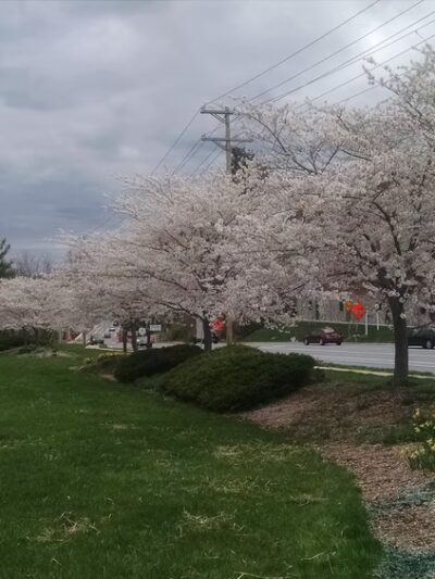 Olan Thomas Park - Newark, DE