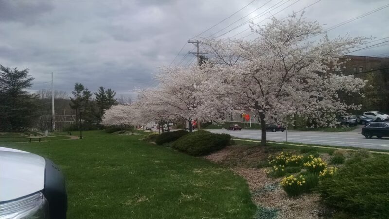 Olan Thomas Park - Newark, DE