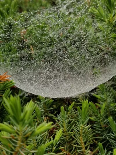 Olan Thomas Park - Newark, DE