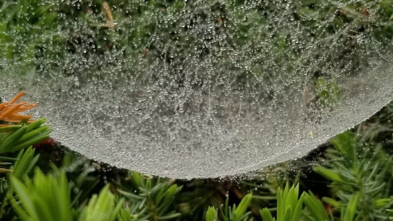 Olan Thomas Park - Newark, DE