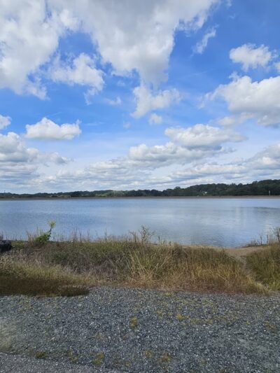 Old Paper Mill Road Park - Newark, DE