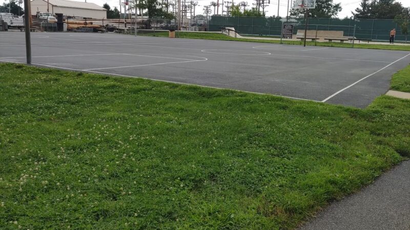 Phillips Park - Newark, DE