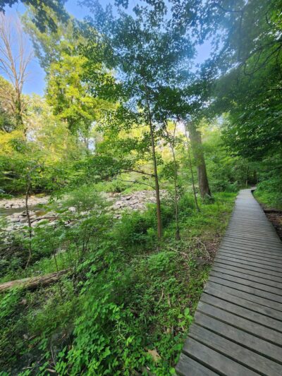 Rittenhouse Park - Newark, DE