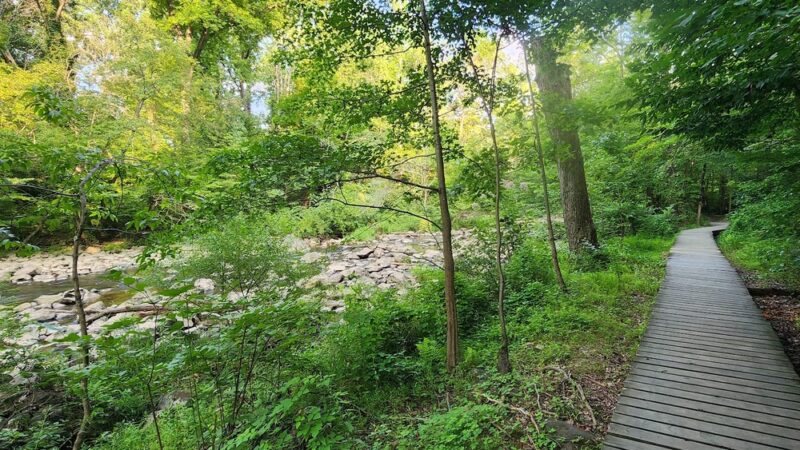 Rittenhouse Park - Newark, DE