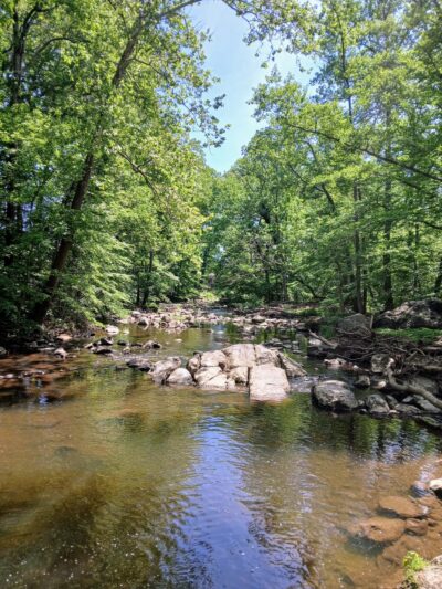 Rittenhouse Park - Newark, DE