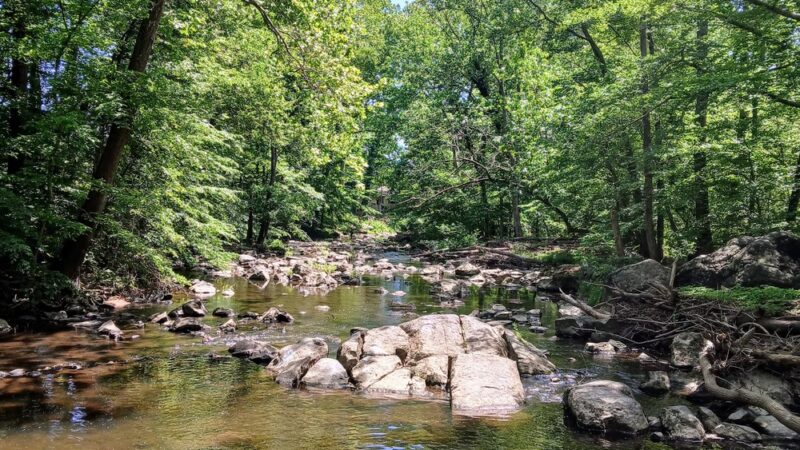 Rittenhouse Park - Newark, DE