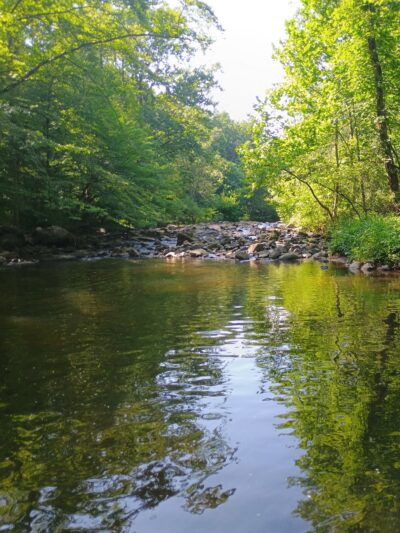 Rittenhouse Park - Newark, DE
