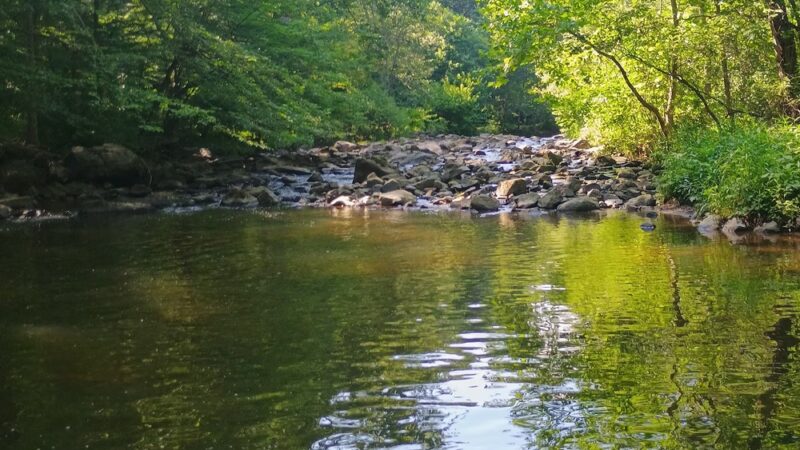 Rittenhouse Park - Newark, DE