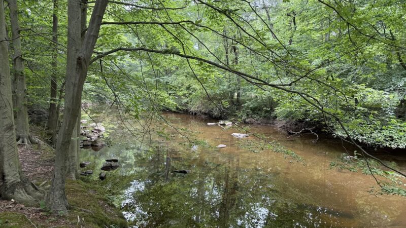 Rittenhouse Park Entrance - Newark, DE