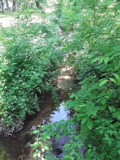 Robscott Manor Park - Newark, DE