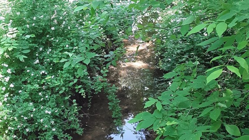 Robscott Manor Park - Newark, DE