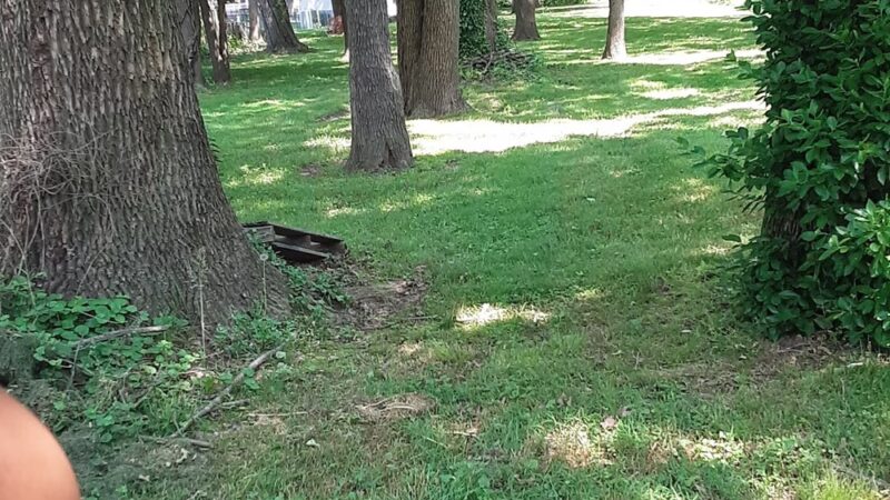 Robscott Manor Park - Newark, DE