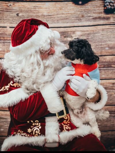 The Doggie Playhouse - Newark, DE