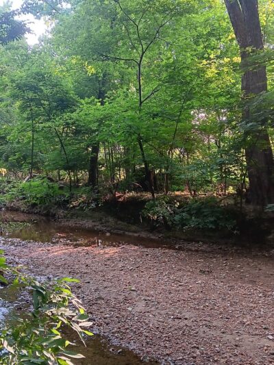 Valley Stream Christina - Newark, DE