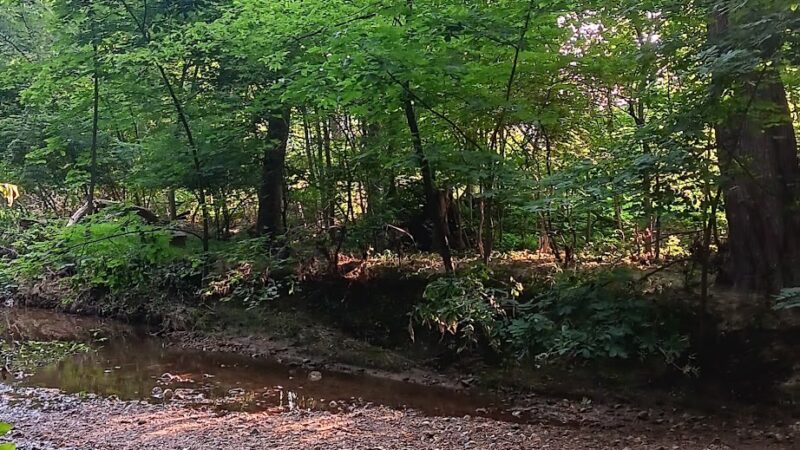 Valley Stream Christina - Newark, DE