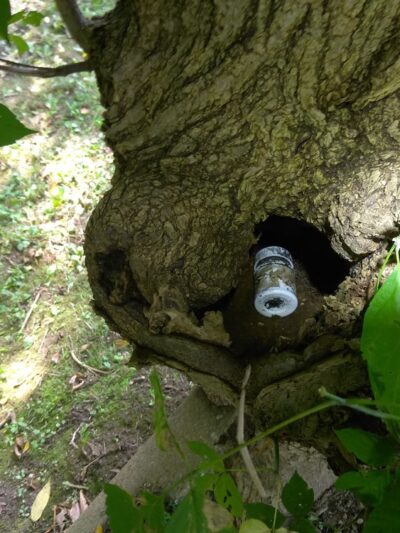 Valley Stream Christina - Newark, DE