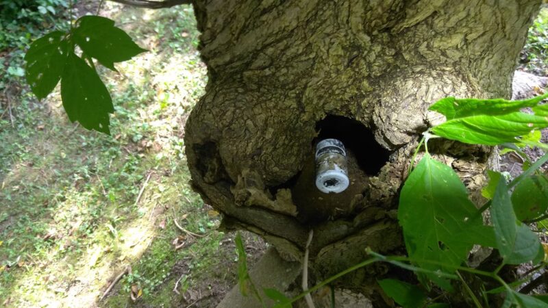 Valley Stream Christina - Newark, DE