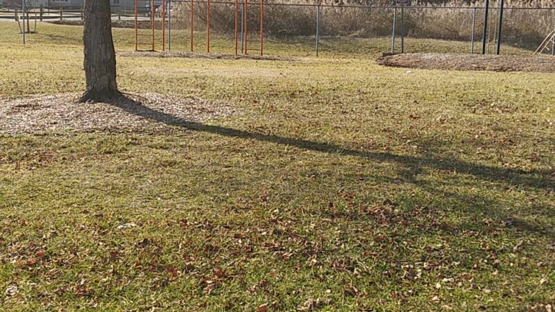 White Chapel Park - Newark, DE