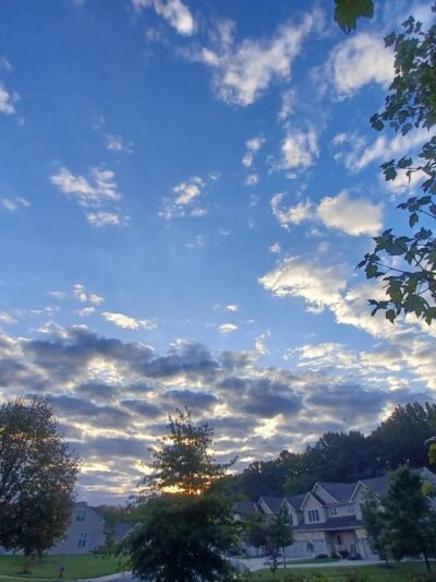 White Chapel Park - Newark, DE