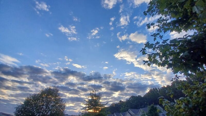 White Chapel Park - Newark, DE