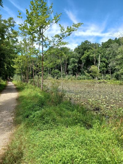 White Clay Creek Pedestrian Bridge - Newark, DE