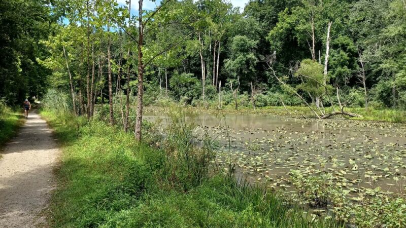 White Clay Creek Pedestrian Bridge - Newark, DE