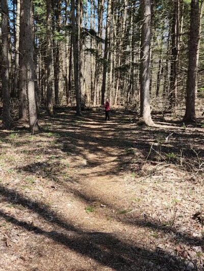 White Clay Creek State Park, Carpenter Recreation Area - Newark, DE