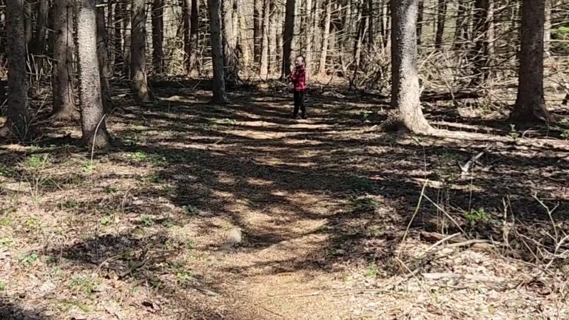 White Clay Creek State Park, Carpenter Recreation Area - Newark, DE