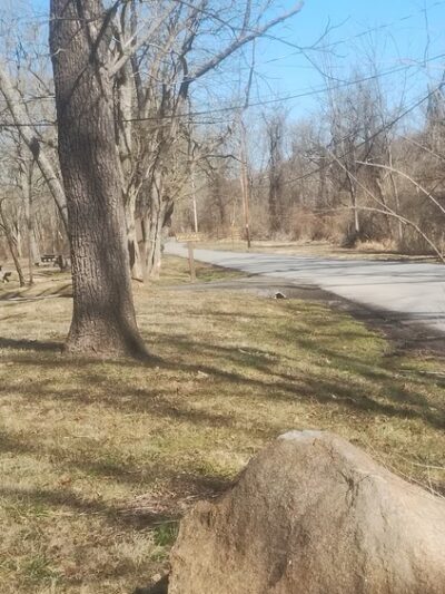 White Clay Creek State Park, Carpenter Recreation Area - Newark, DE