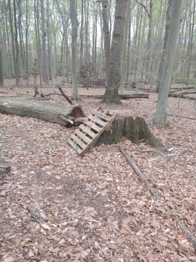 William M. Redd, Jr. Park - Newark, DE