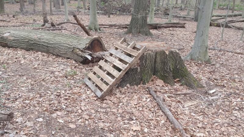 William M. Redd, Jr. Park - Newark, DE