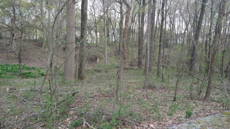 William M. Redd, Jr. Park - Newark, DE