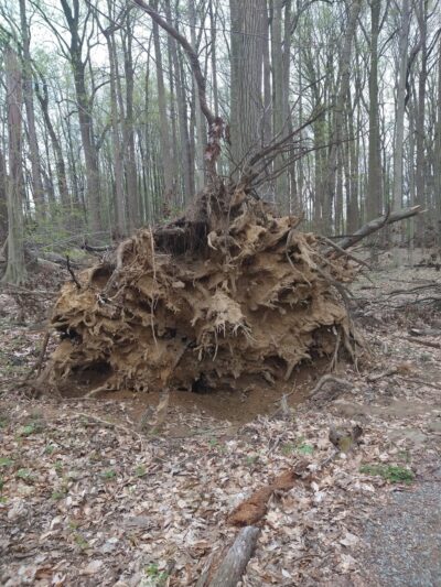 William M. Redd, Jr. Park - Newark, DE