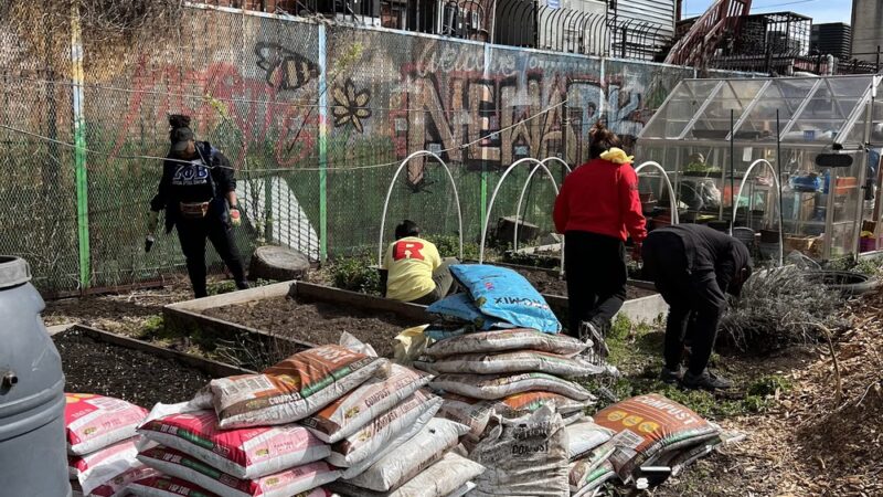 A Healing Sanctuary - Newark, NJ
