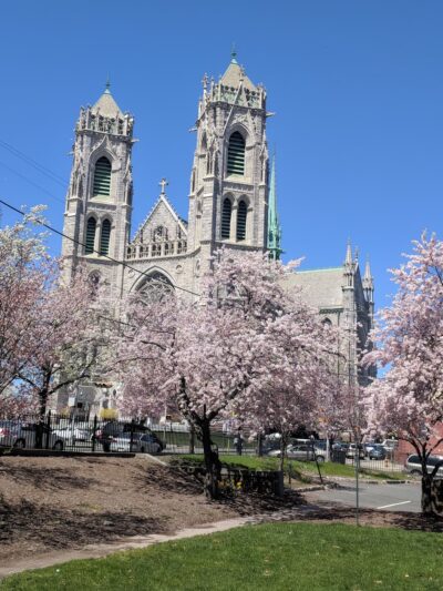 Branch Brook Park Alliance - Newark, NJ
