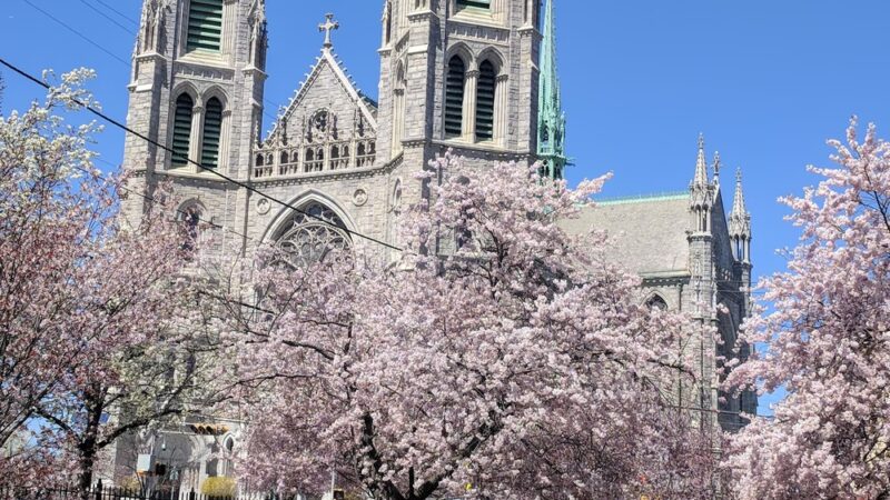 Branch Brook Park Alliance - Newark, NJ