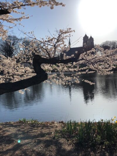Branch Brook Park Alliance - Newark, NJ