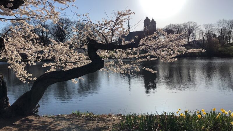 Branch Brook Park Alliance - Newark, NJ