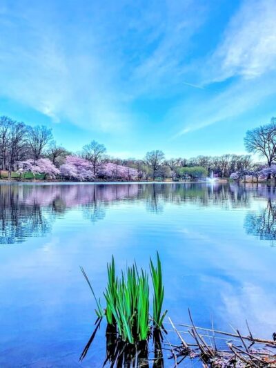 Branch Brook Park Alliance - Newark, NJ