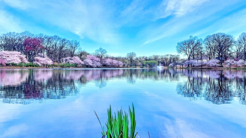 Branch Brook Park Alliance - Newark, NJ