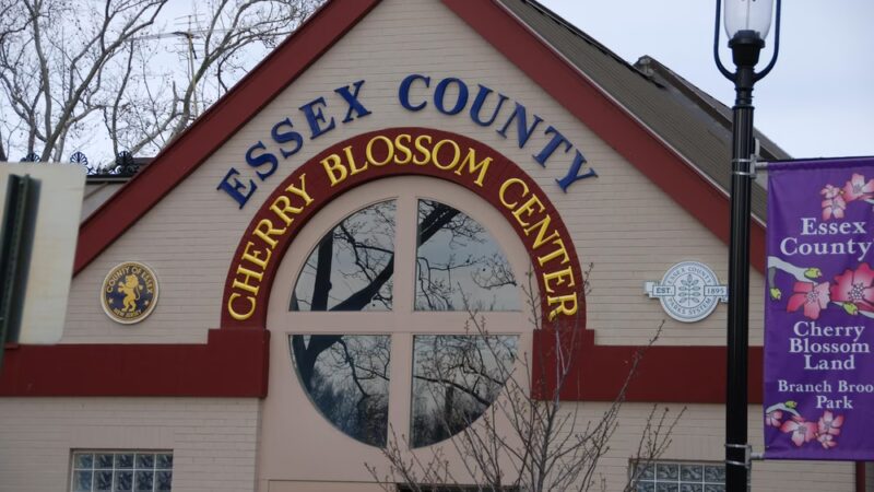 Cherry Blossom Welcome Center - Newark, NJ