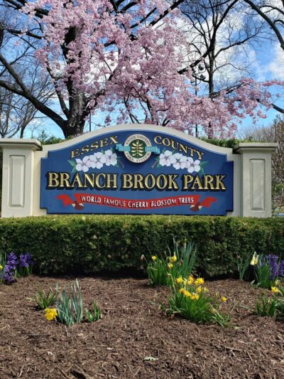 Cherry Blossom Welcome Center - Newark, NJ