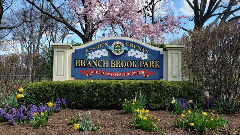 Cherry Blossom Welcome Center - Newark, NJ