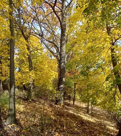 Kasberger Field - Newark, NJ
