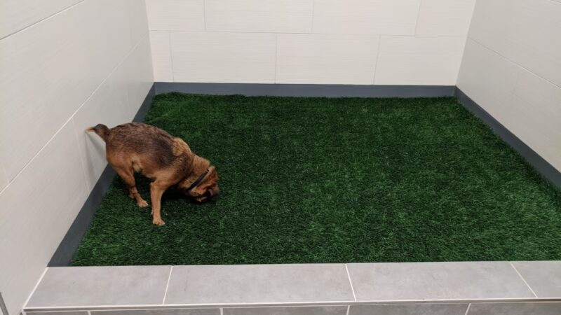 Pet Relief Area - Newark, NJ